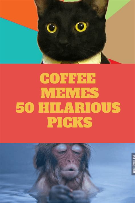 funny coffee memes  laugh      cafe funny memes