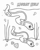 Coloring Eel Moray Cute Pages Eels Electric Color Online Getcolorings Animal 56kb 300px Luna sketch template