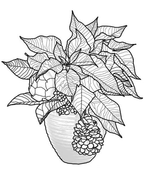 poinsettia bouquet  national poinsettia day coloring page netart