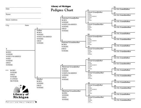family pedigree chart printable