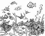 Ocean Ecosystem Drawing Coloring Pages Getdrawings sketch template
