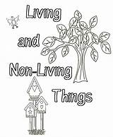 Living Things Nonliving Worksheet Non Classifying Worksheets Lapbook 1002 Pixel Found Has May sketch template