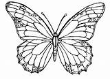Coloring Butterfly Pages Monarch Detailed Hard Colouring Butter Cute Printable Getcolorings Intricate Getdrawings Colorings Color sketch template