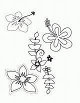 Coloring Pages Flower Tropical Hawaiian Plumeria Flowers Printable Hawaii Themed Luau Choose Print Popular Colouring Coloringhome Drawing Color Getcolorings Board sketch template