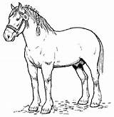 Horse Coloring Pages Print Printable Horses Color Kids Sheets Printables Adults sketch template