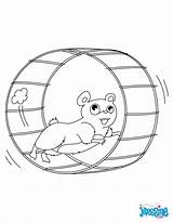 Roue Hamsters sketch template