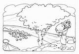 Coloring Pages Sheep Lost Parable Parables Sheets Clipart Preschoolers Jesus Bible Kids Clip Cartoon Coin Popular sketch template