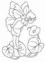 Duendes Elfen Feen Fadas Coloriage Pouco Hadas Colorkid Elfos Fate Elfi Imprimer Duende Fairies Elves Biancaneve Principessa Elfes Colorier Colorir sketch template