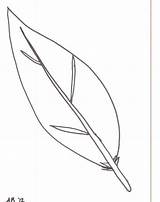 Feathers Coloringhome Clipartix sketch template