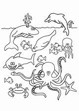 Vissen Kleurplaten Kleurplaat Poisson Fisch Unterwassertiere Poissons Coloriages Animali sketch template