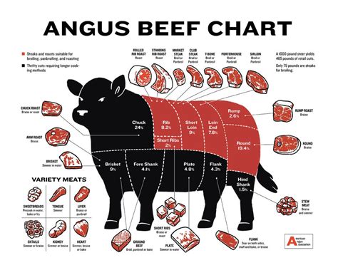 beginners guide  beef cuts angus beef butcher chart laminated wall