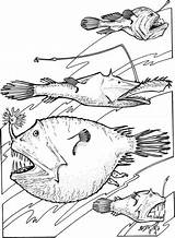 Coloring Fish Angler Deep Sea Fishes Pages Printable Supercoloring Color Ocean Animals Print Book Colouring Crafts Creatures Drawing Clipart sketch template