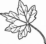 Leaves Coloring Pages Pile Getcolorings sketch template