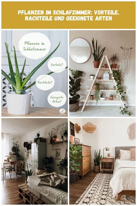 pflanzen im schlafzimmer indoor plants