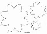 Flower Coloring Petal Petals Pages Daisy Tracing Drawing Flowers Getcolorings Getdrawings sketch template
