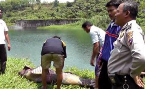 Mayat Perempuan Setengah Bugil Mengapung Di Sungai