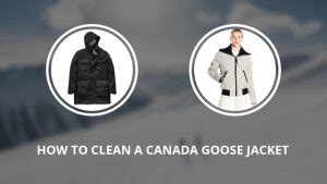 clean  canada goose jacket   guide casual geographical