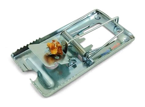 buy pack   madecatch classic metal mouse traps fully galvanized