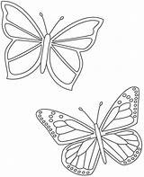 Borboleta Coloring Borboletas Mariposas Stencil Bigactivities Papillons Mariposa Simples Animais Papillon Atividades Schmetterling Ausmalbild Educação Mur Soloinfantil Artigo sketch template
