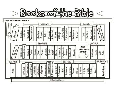 books   bible worksheet