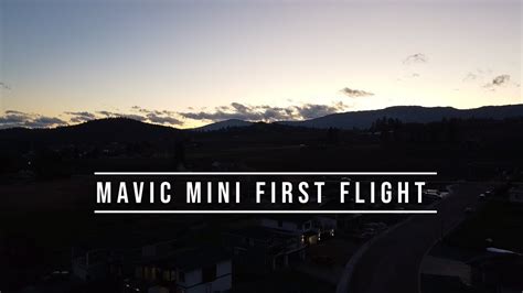mavic mini  light youtube