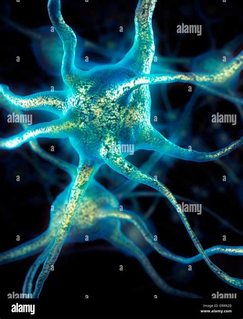brain cells neurons conceptual neural connections neurology stock photo alamy