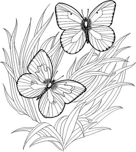 adult butterfly coloring pages  print atf