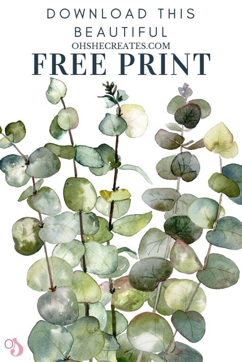 beautiful  print   creates  prints botanical prints