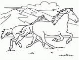 Coloring Horse Pages Running Kids Race Print sketch template