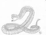 Rattlesnake Viper Diamondback Hledat Googlem Hady sketch template