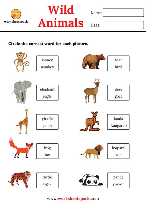 wild animals worksheets worksheetspack