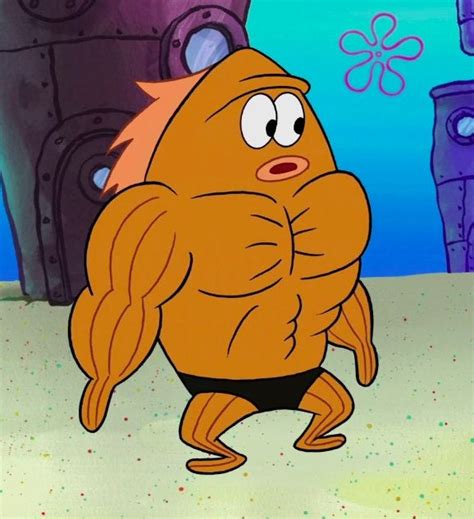 til   muscular fish  frequently  spongebob   supposed    goldfish