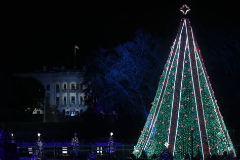 man climbs ft  national christmas tree  white house