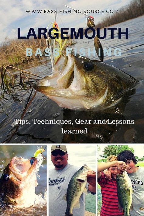 All The Things You Want To Know About Catching Largemouth Bass How To