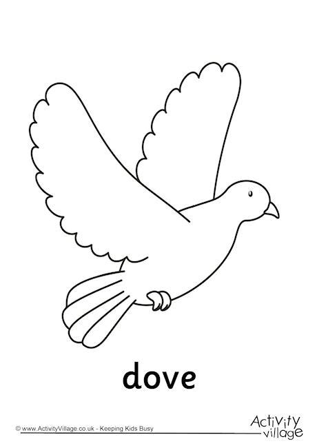 dove colouring page