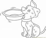 Dalmatian Dalmatians Coloringpages101 sketch template