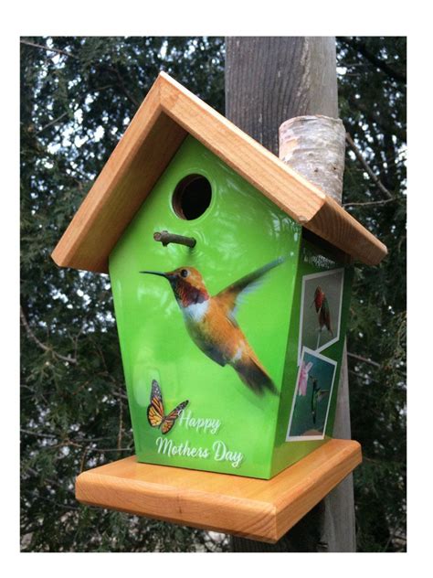 mothers day gift idea hummingbird birdhouse birdhouses bird feeders bird houses diy hand
