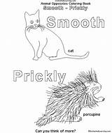 Coloring Smooth Book Opposites Animal Enchantedlearning Enchanted Learning Search Prickly Designlooter sketch template