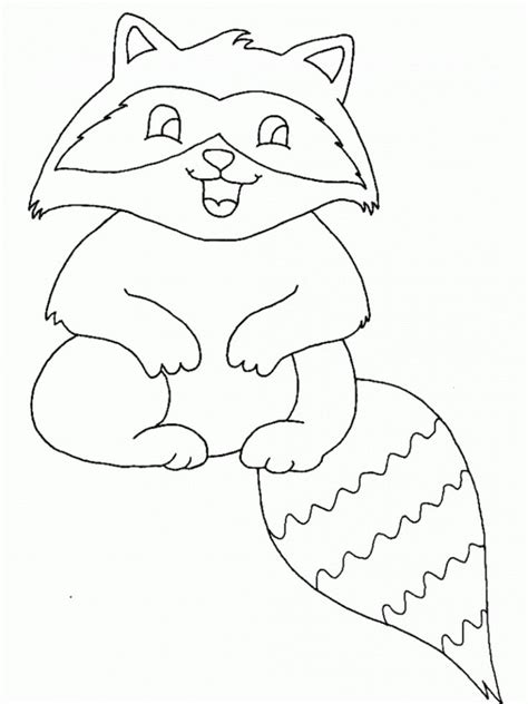 printable raccoon coloring pages  kids animal coloring pages