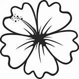 Outline Hibiscus Flower Stamp Clipart Rubber Leaf Flowers Transparent Stamps Stamptopia Clip Leaves Big Pinclipart sketch template