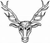 Stag Antlers Buck Heraldry Stags Antler Clipartmag Traceable sketch template