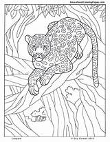 Coloring Leopard Pages Jungle Animals Tropical Animal Safari Colouring Printable Adults Adult Book Print Zoo Kids Trees Sheets Color Crafts sketch template