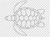 Hawksbill Hiclipart Loggerhead Turtles sketch template