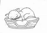 Coloring Pages Sleeping Kitten Cat Printable Drawing Line Cats Cute Sheets Basket Kitty Kids Dog Animal Book Print Sleep Dogs sketch template