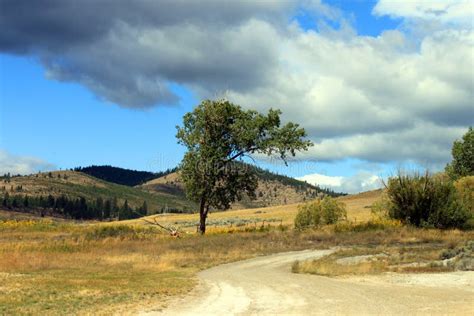 montana landscape stock image image  cloud tree fall