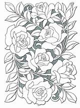 Coloring Pages Border Roses Getcolorings Rose sketch template