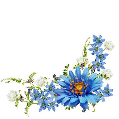 blue flowers png beautiful insanity