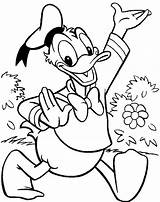 Coloring Donald Duck Pages Disney Print sketch template