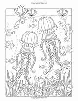 Coloring Tropical sketch template