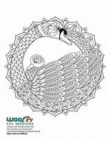 Mandala Coloring Adult Swan Mandalas Beautiful Pages Christmas sketch template